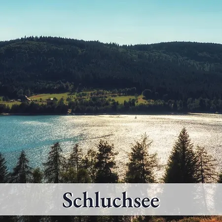 Forsters Schwarzwald Hotell 3*