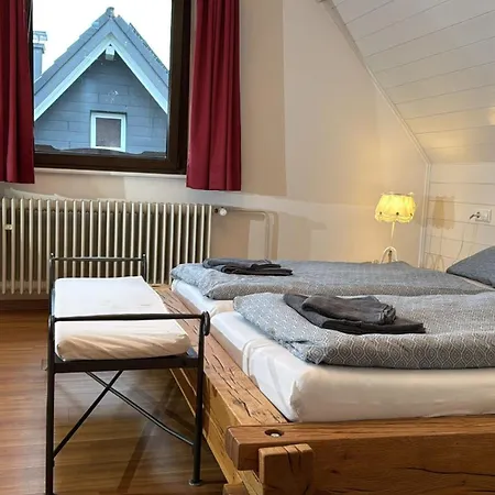 Forsters Schwarzwald Feldberg (Baden-Wurttemberg)