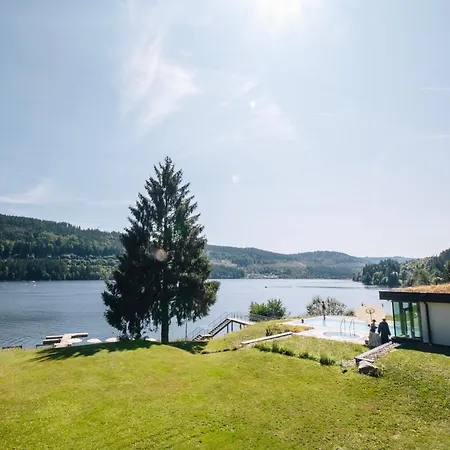 Forsters Schwarzwald Hotel 3*